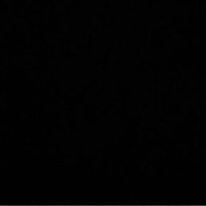 Meet your Posher, Chase